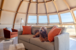 Artemis Pod/Dome for Guest House / ADU / Glamping / Studio / Field Laboratory / Work Space / Alternative House / Airbnb - Image 11